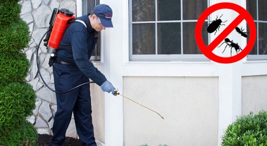 Gümüşhacıköy Pire İlaçlama böcek ilaçlama ve haşere kontrolü — ilaclama-tr.com